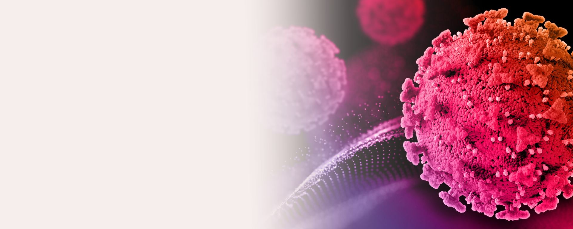 Diga não ao HPV - Vacine-se